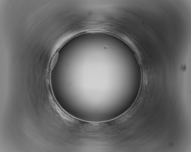 X0000111811485200907231222