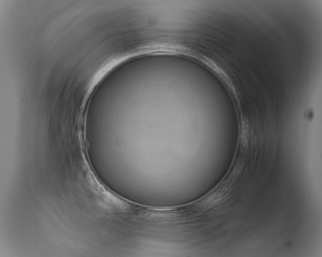 X0000111811486200907231222