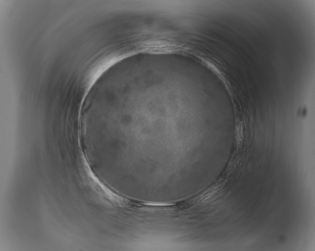 X0000111811487200907231222