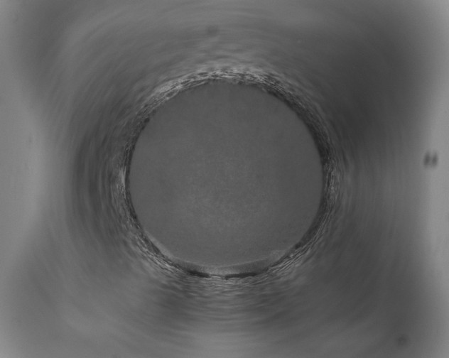 X0000111811489200907231221