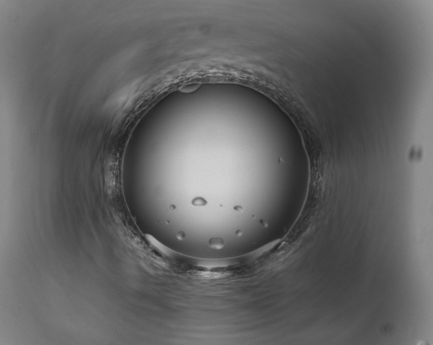X0000111811490200907231221