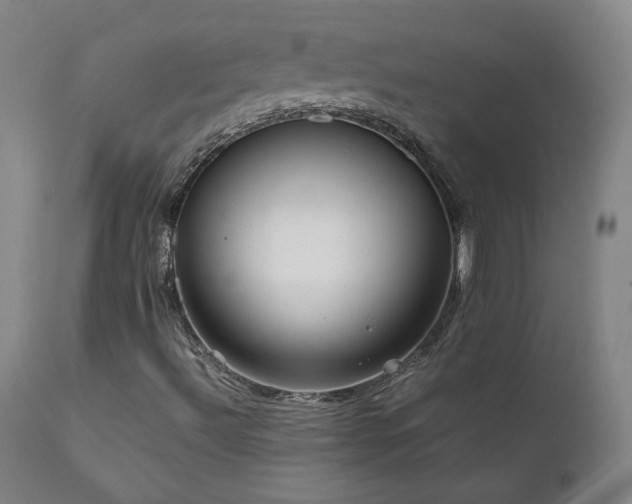 X0000111811492200907231222