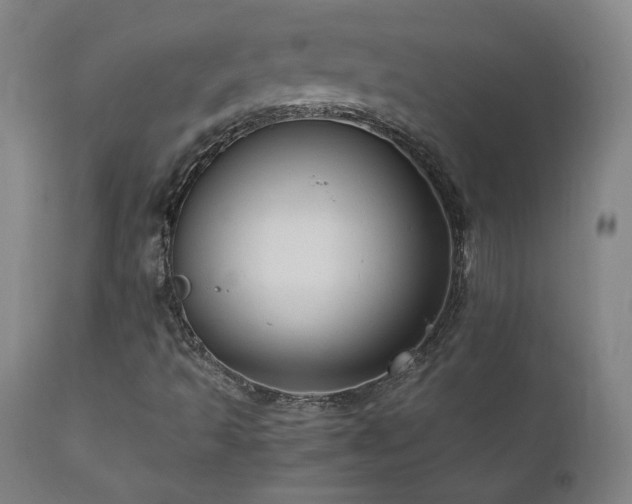 X0000111811493200907231222