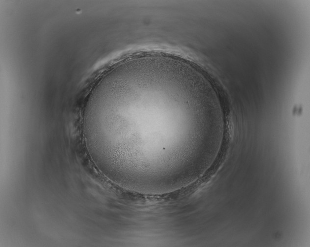 X0000111811494200907231222