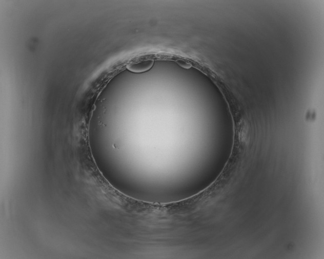 X0000111811495200907231222