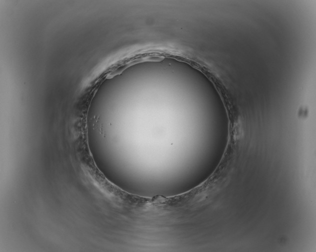 X0000111811496200907231222
