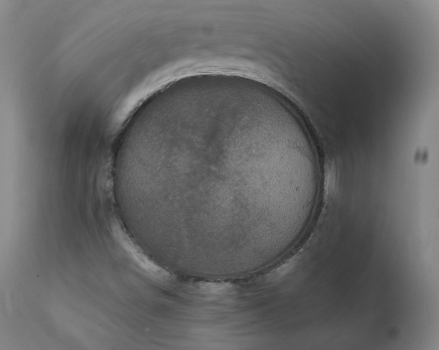 X0000111811498200907231222