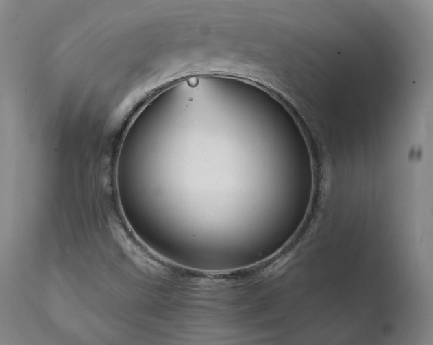 X0000111811499200907231222