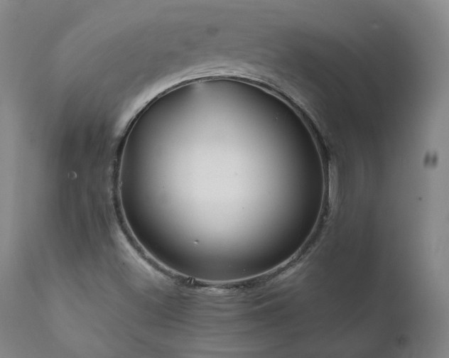 X0000111811500200907231222