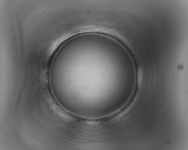X0000111811501200907231222