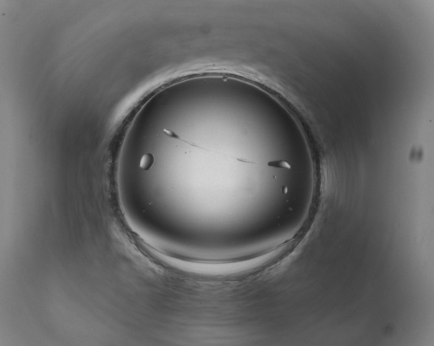 X0000111811502200907231222