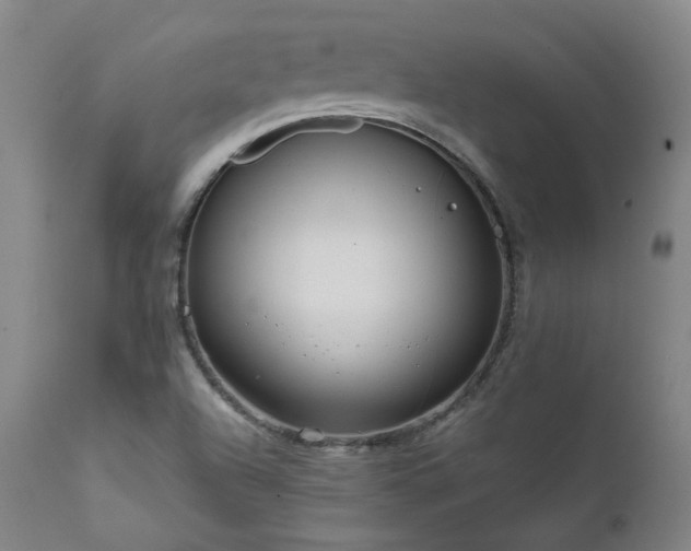 X0000111811504200907231222