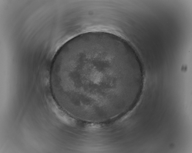 X0000111811505200907231222