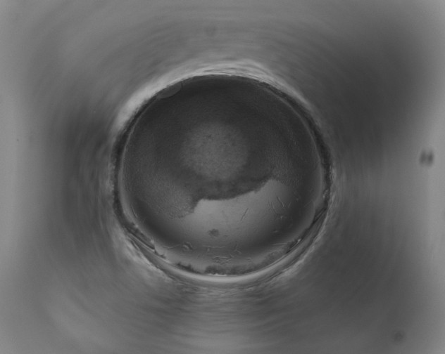 X0000111811506200907231222