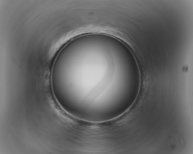 X0000111811507200907231222