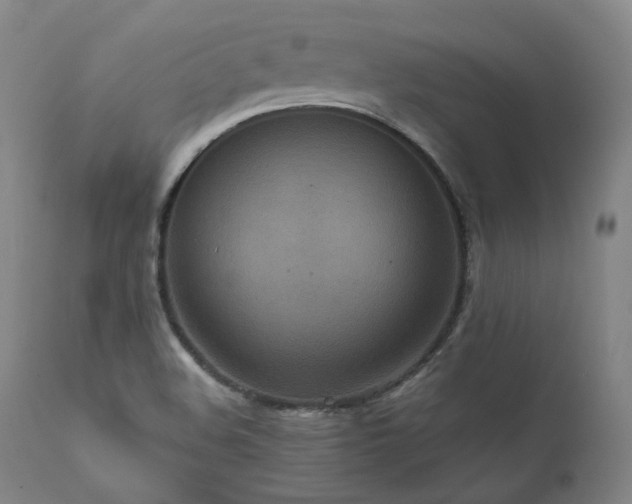 X0000111811508200907231222