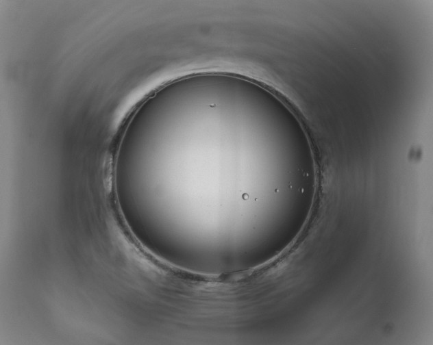 X0000111811510200907231222