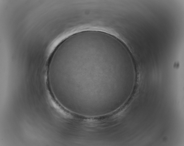 X0000111811511200907231222