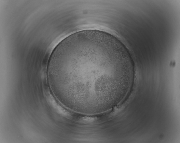 X0000111811513200907231222