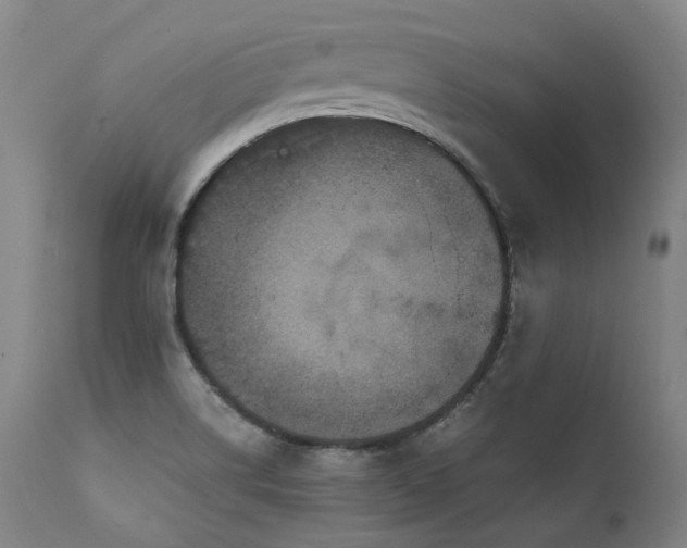 X0000111811514200907231222
