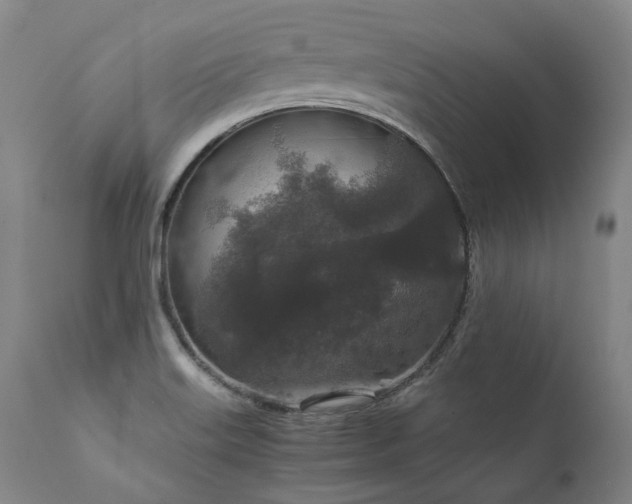 X0000111811515200907231222