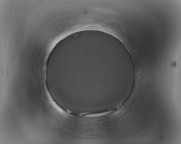 X0000111811519200907231222