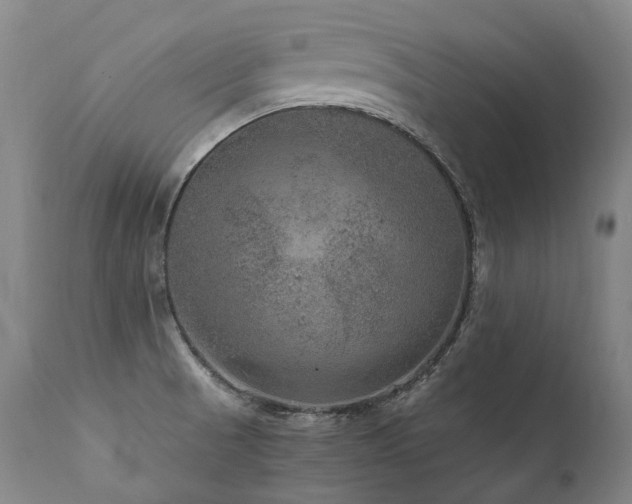 X0000111811521200907231222