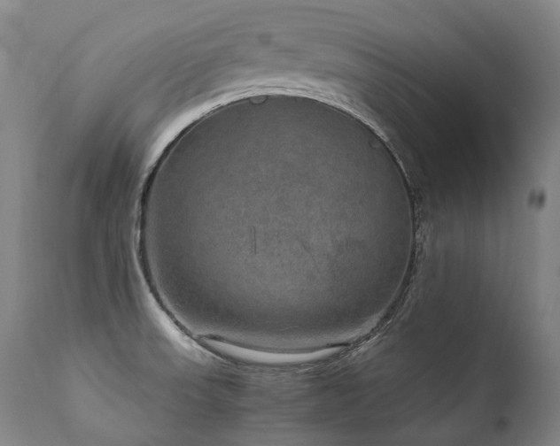 X0000111811523200907231222