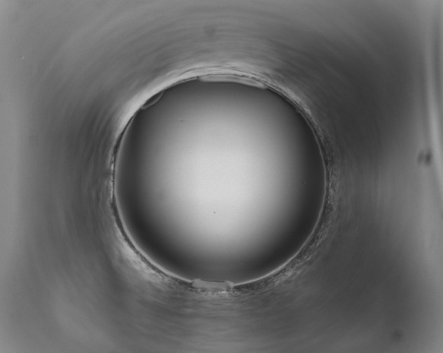 X0000111811524200907231222