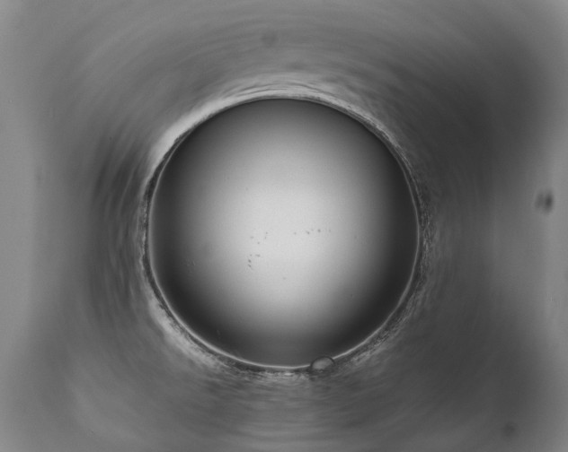 X0000111811526200907231222