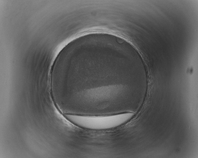 X0000111811527200907231222