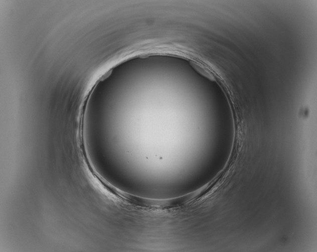 X0000111811528200907231222
