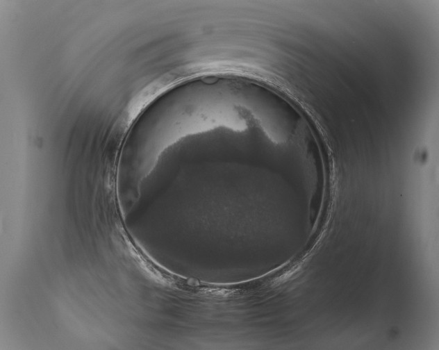 X0000111811529200907231222