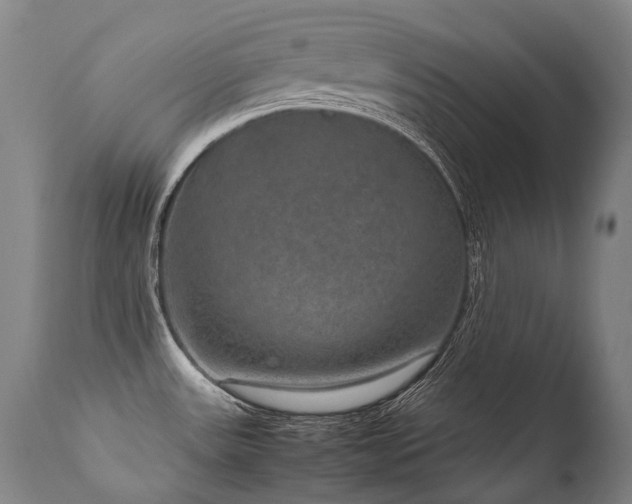 X0000111811531200907231222