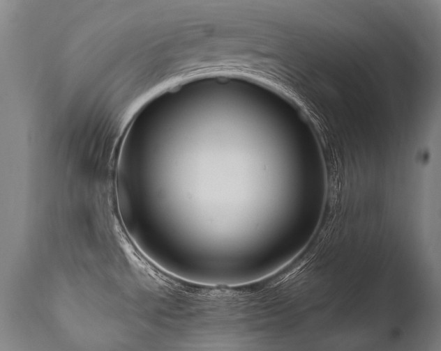 X0000111811534200907231222