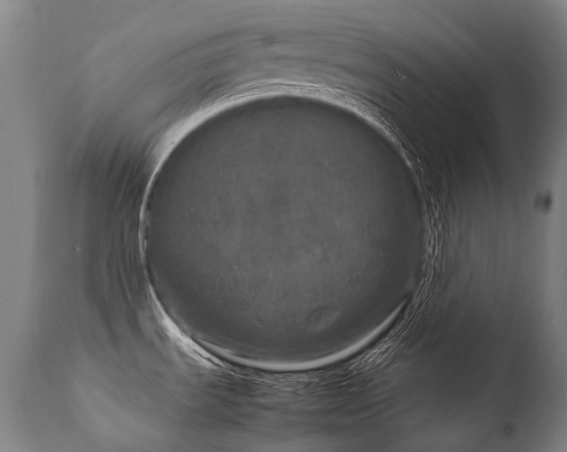 X0000111811535200907231222