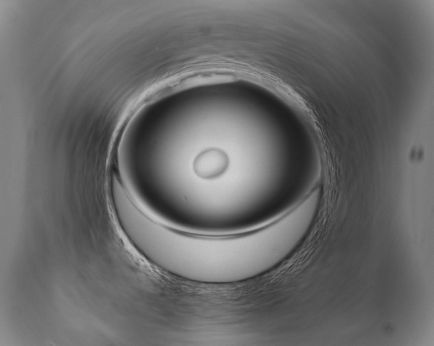 X0000111811536200907231222