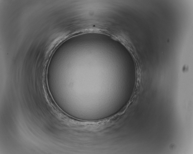 X0000111810001200907301244