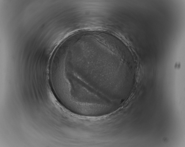X0000111810002200907301244