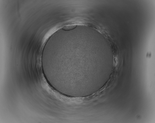 X0000111810004200907301244