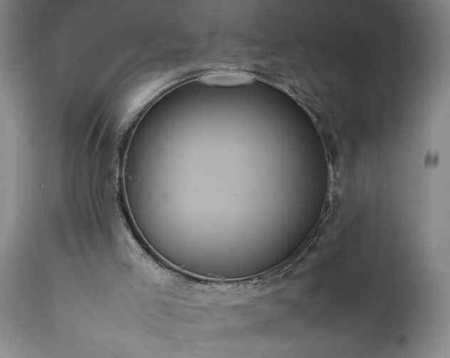 X0000111810005200907301244