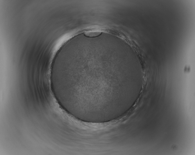 X0000111810006200907301244