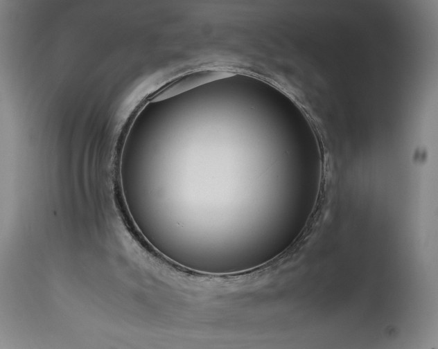 X0000111810007200907301244