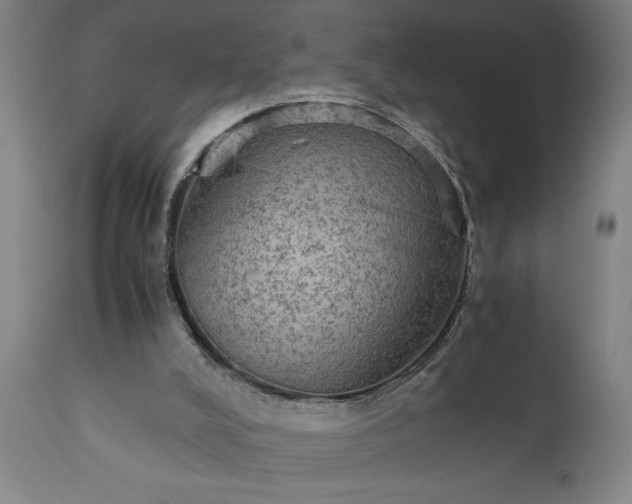 X0000111810008200907301244