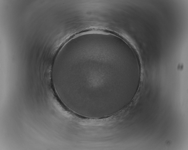 X0000111810009200907301244