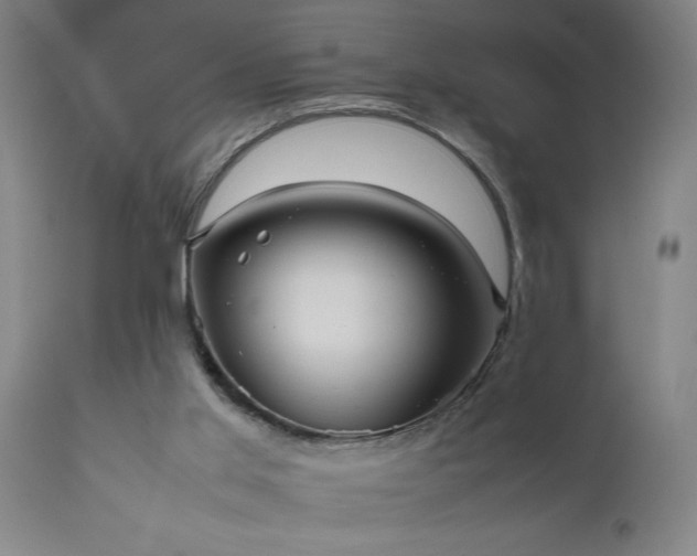 X0000111810013200907301244