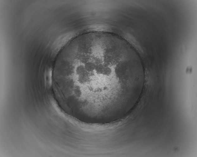 X0000111810014200907301244