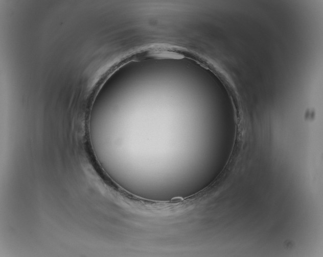 X0000111810015200907301244