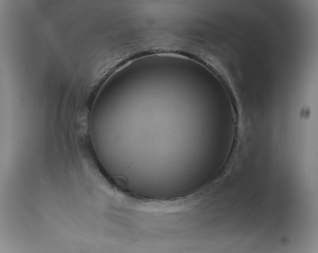 X0000111810017200907301244