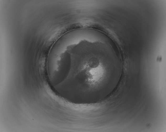 X0000111810018200907301243